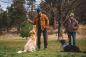 Preview: Ruffwear Gnawt-a-Stick Purple Orchid Preview: Ruffwear Gnawt-a-Stick Purple Orchid